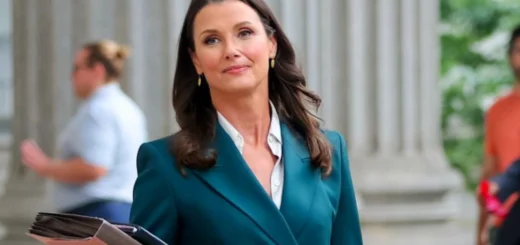 Bridget Moynahan Lands Exciting New Project After Blue Bloods Season 14 Finale